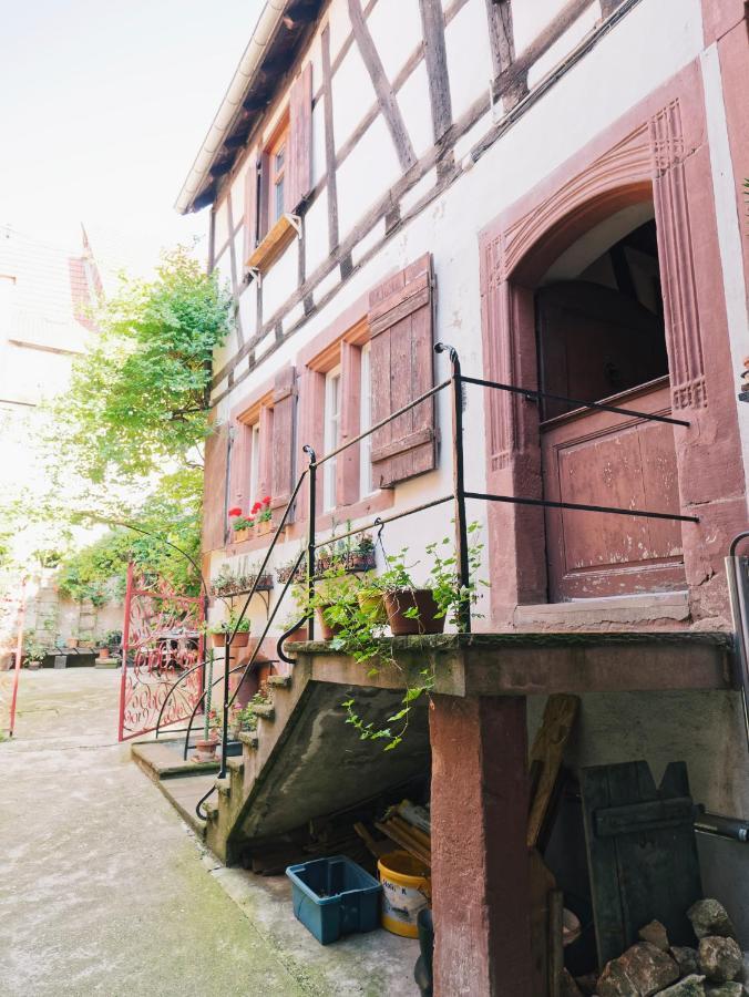 Le Haut Relais Des Seigneurs - 5 Mn Royal Palace De Kirrwiller ブーウィラー エクステリア 写真